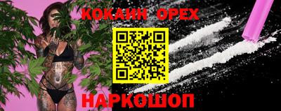 стафф Нальчик