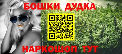 стафф Нальчик